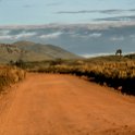 TZA ARU Ngorongoro 2016DEC26 Crater 002 : 2016, 2016 - African Adventures, Africa, Arusha, Crater, Date, December, Eastern, Month, Ngorongoro, Places, Tanzania, Trips, Year